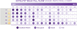 Естелайт Балк Філ Флоу A1 3.8г ESTELITE BULK FILL Flow TOKUYAMA DENTAL 45842 фото 2